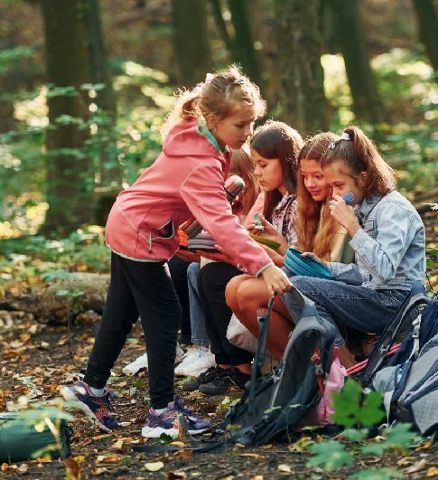 Httpselements.envato.comkids in green forest at summer daytime together UPYZ6ZN 1.jpg